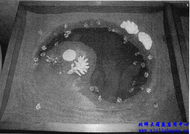 来访者心理沙盘作品