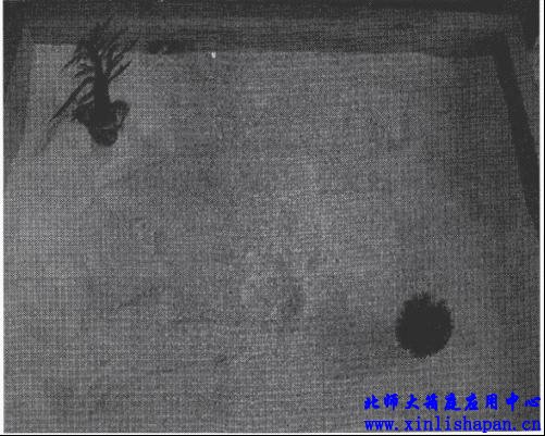 沙盘游戏中“空洞的表现”