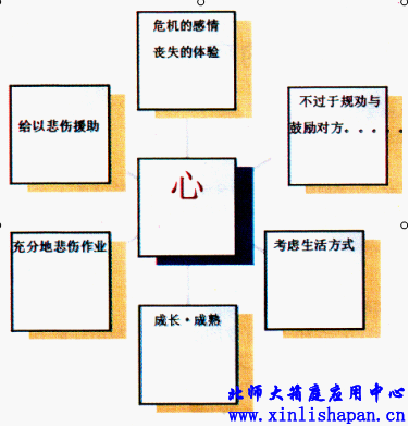  以“心”为主题的心理援助模式(张曰昇．2005)