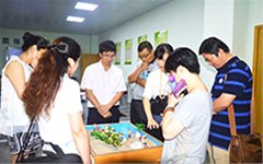 “沙盘游戏”与中学生个案分析