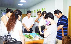 “沙盘游戏”与中学生个案点评