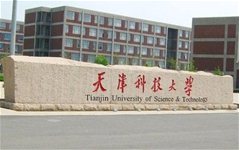 天津科大泰达校区引进箱庭疗法 让学生在游戏中治疗心理问题